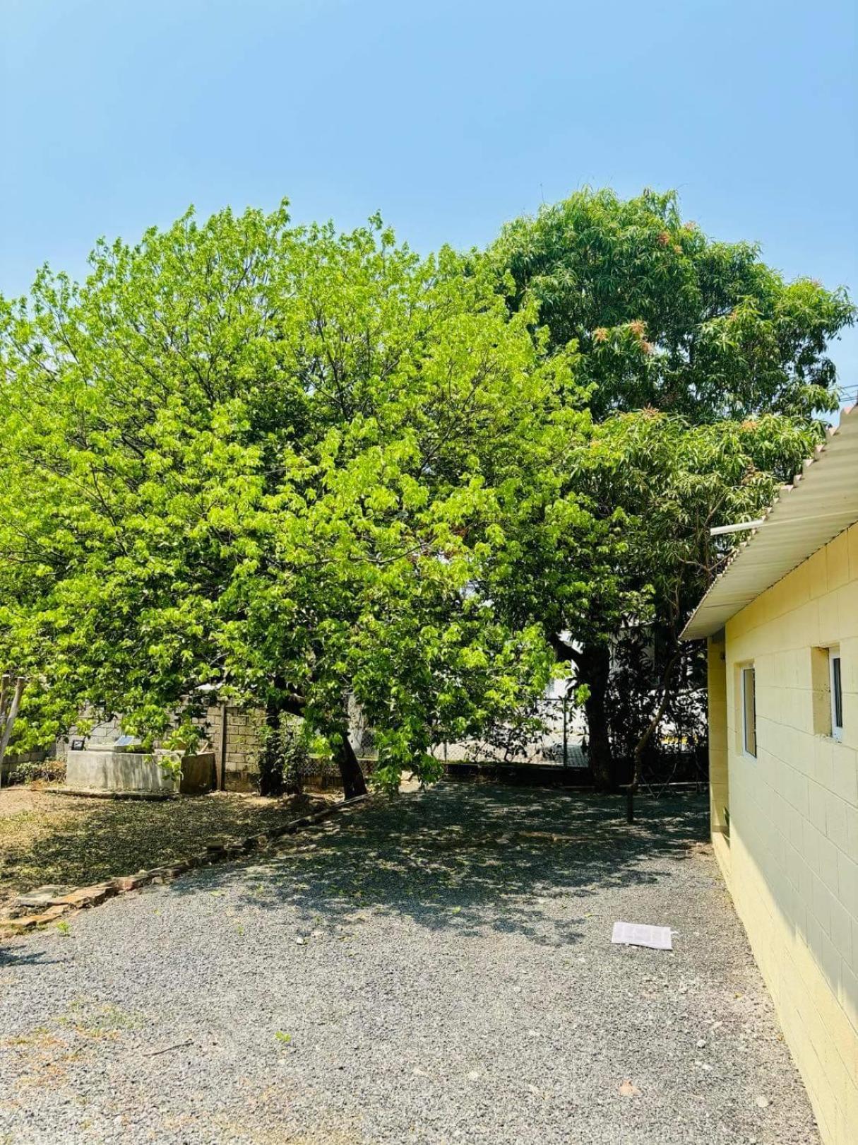 Hostal Camila'S Tamanique Εξωτερικό φωτογραφία