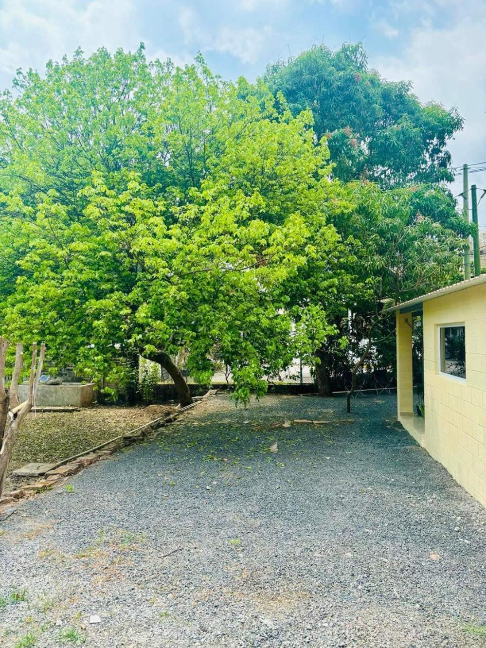 Hostal Camila'S Tamanique Εξωτερικό φωτογραφία